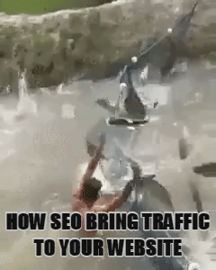 seo bring traffic for adult site