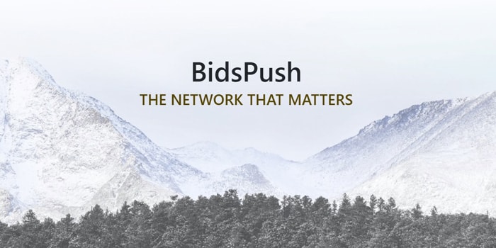 BidsPush ad network review